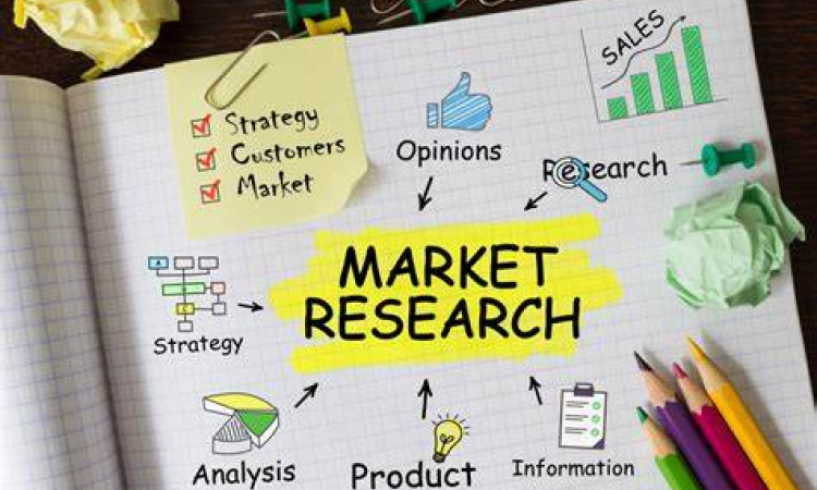 Market Research and Analysis