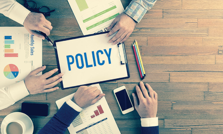 Policy Development Support